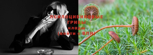 СК Вяземский