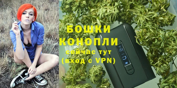 СК Вяземский