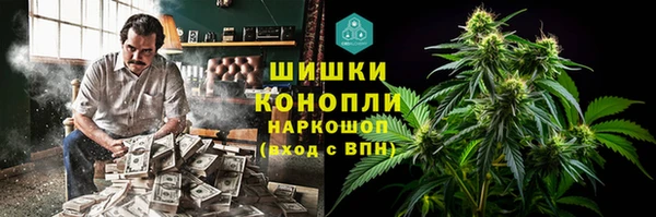 СК Вяземский