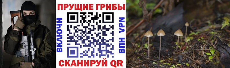 Псилоцибиновые грибы ЛСД  хочу наркоту  Кызыл 